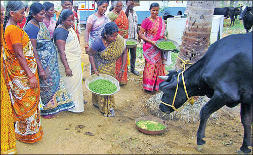 பலவிதப் பயிற்சிகள்... வங்கிக் கடனுதவி... விவசாயிகளுக்கு வழிகாட்டும் ‘மானாவாரி’ கே.வி.கே!
