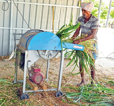 25 ஏக்கர்... மாதம் ரூ 11 லட்சம் லாபம்!