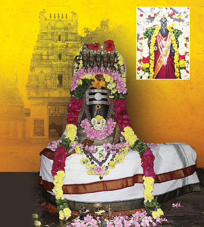 சங்கடம் தீர்க்கும் சந்நிதிகள்!
