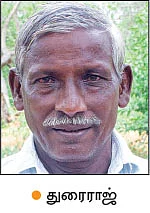 தரமான கன்றுகள்... நியாயமான விலை... விவசாயிகளுக்கு உதவும் மருங்குளம் பழப்பண்ணை!
