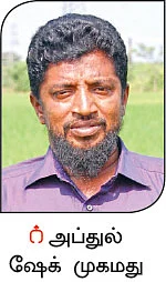 வளமான வருமானம் தரும் வெண்டை