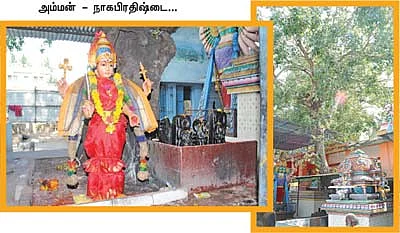 தேவி தரிசனம்... பாப விமோசனம்!