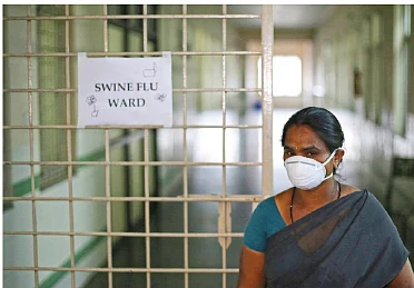 டெங்குக் காய்ச்சலும்... பன்றிக் காய்ச்சலும்! - இனி என்ன செய்ய வேண்டும் நாம்?
