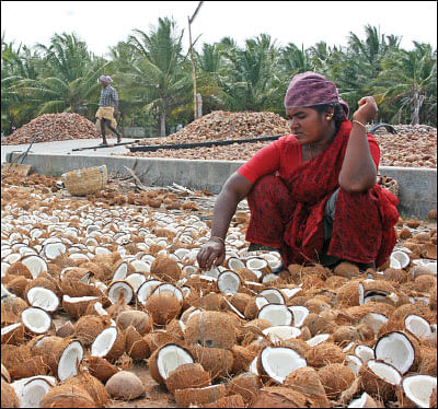 மீன்கள், கோழிகள் வளர்ப்புக்கு மானியம்!