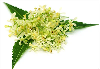 சித்திரை சிறப்புகள்