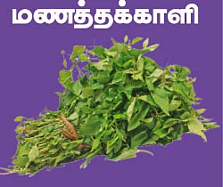 உணவு நல்லது வேண்டும்!