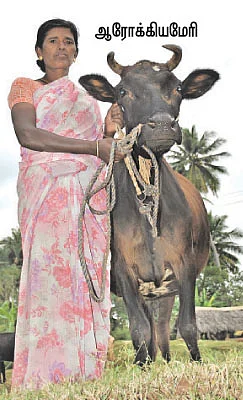 பால் போல பொங்கிய வாழ்க்கை !