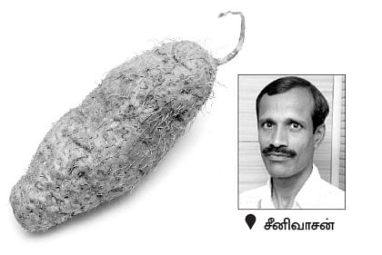 நீங்கள் கேட்டவை : தேனீ வளர்ப்புக்கு மானியம்... யாரைத் தொடர்பு கொள்வது?
