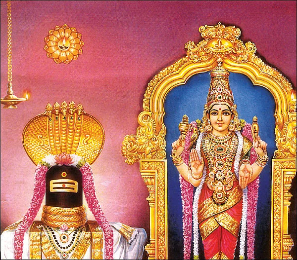 சகலமும் அருளும் கெளரி தேவி வழிபாடு!
