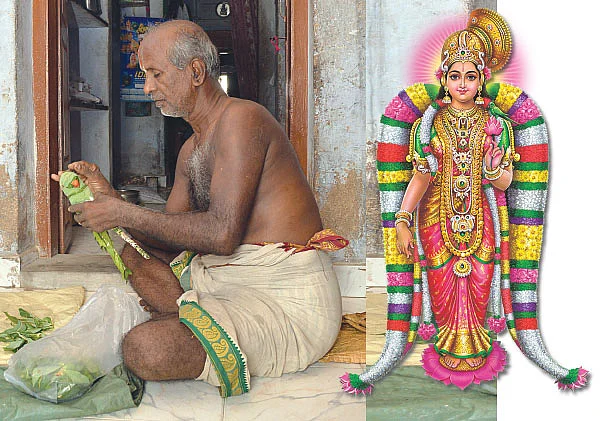 'எல்லே இளங்கிளியே...!’