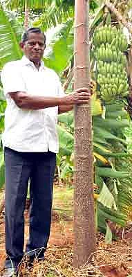 ஏழே ஆண்டில் ஏக்கருக்கு 12.5 லட்சம் !