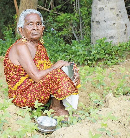 குதிரைவாலிக்கு பத்தாளு பலம்! - பாட்டி காலத்து உணவு
