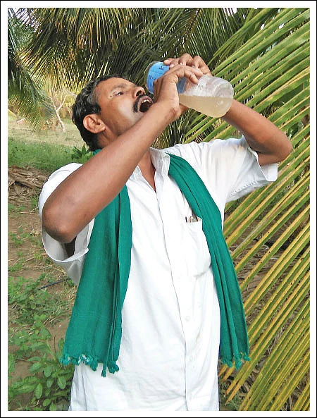 நீரா... இனிக்குமா, கசக்குமா? ஓர் அலசல்!