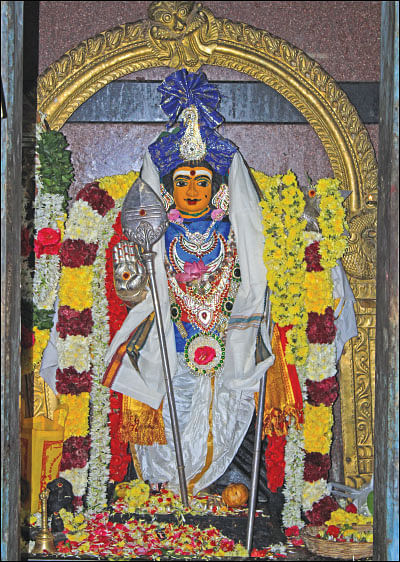 தைப்பூச தரிசனம்! - குழந்தை வரம் அருளும் குழந்தை வேலாயுதன்!