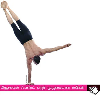 ஃபண்ட் ரிசர்ச்!