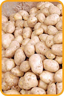 முன்னறிவிப்பு!