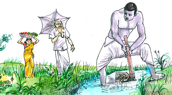 மரத்தடி மாநாடு: கோழிகளுக்கு வெள்ளைக்கழிச்சல்... கவனம்!