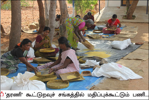 விளையும் விலையும்! - 13