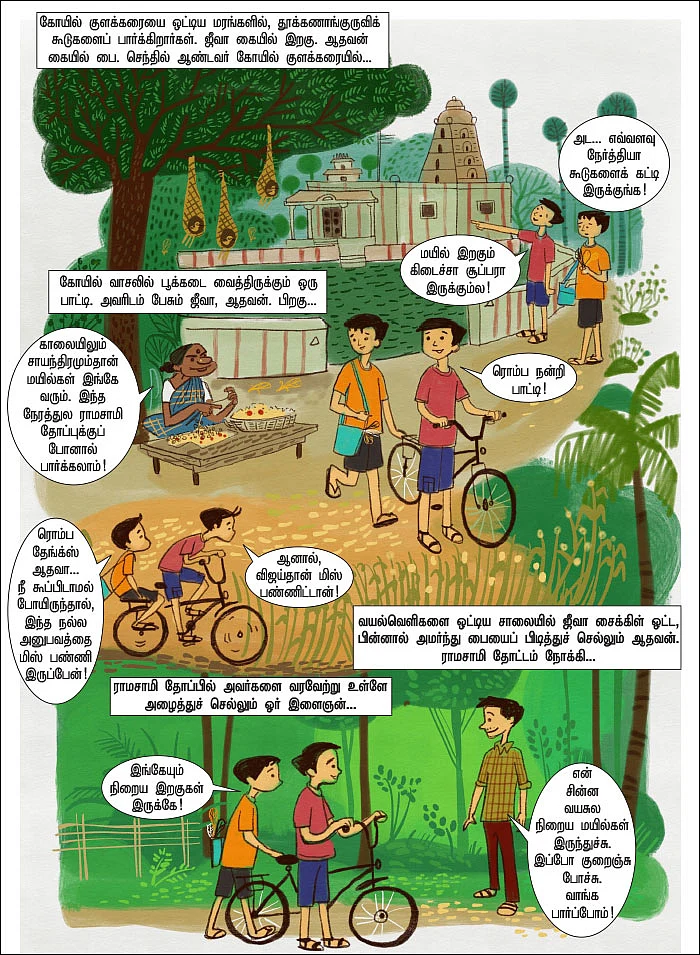 இறகுகள் தந்த தேடல்!