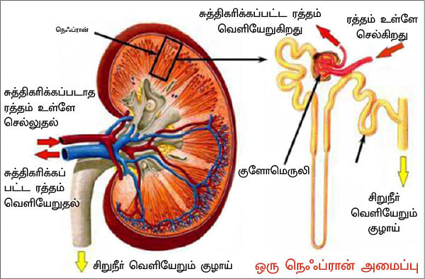 ஸ்வீட் எஸ்கேப் - 11