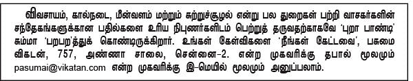 நீங்கள் கேட்டவை : தாய்லாந்து 'இனிப்புப் புளி’, தமிழ்நாட்டில் வளருமா?