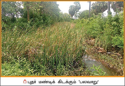 மூழ்கிய நெற்பயிர்கள் - கைவிட்ட குடிமராமத்து... கலக்கத்தில் விவசாயிகள்!