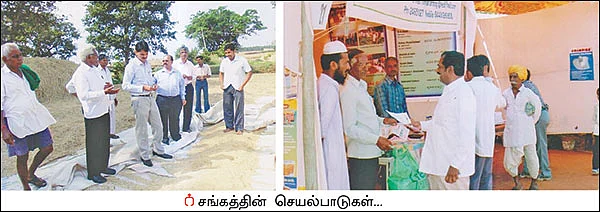 விளையும் விலையும்! - சந்தைக்கு வழிகாட்டும் தொடர் - 4