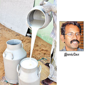 நீங்கள் கேட்டவை