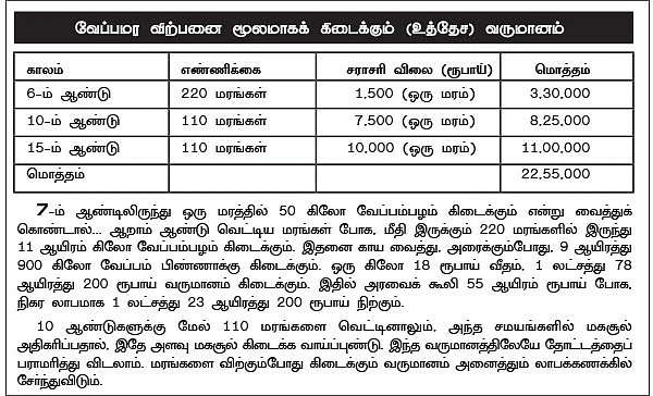 வேம்பு... தோப்பாக வளர்த்தால், தப்பாத வருமானம்!