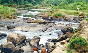 தமிழ் முனிவர் அருளிய தனிப்பெருங்கொடை...
