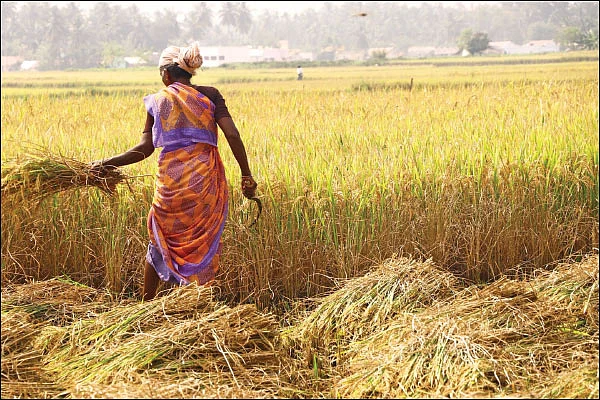 பயிர்க்கடன் முறைகேடு... புகார் அளிப்பது எப்படி?