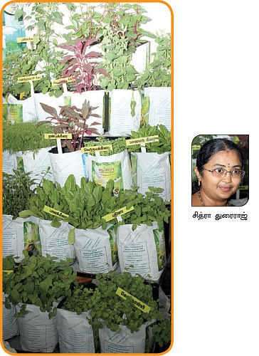 நீங்கள் கேட்டவை