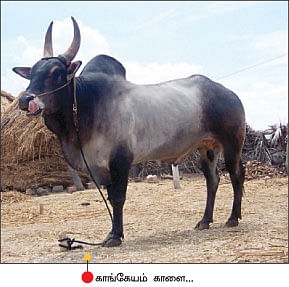 நீங்கள் கேட்டவை