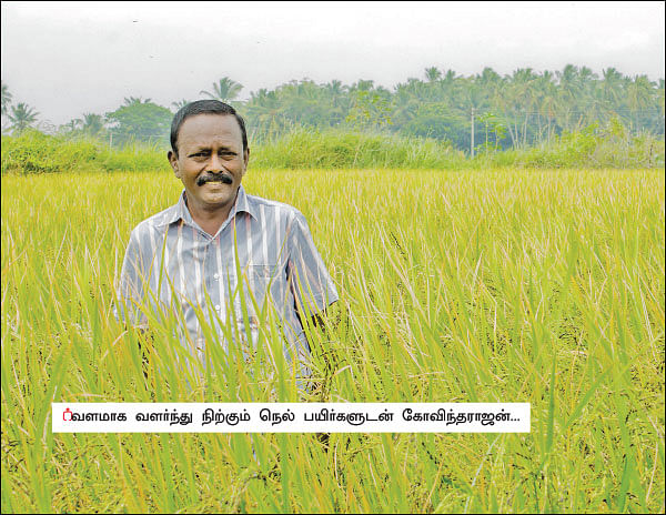 நாற்பது சென்ட்டில் நல்ல லாபம்! - அரசு அதிகாரியின் ஓய்வுக்கால விவசாயம்!