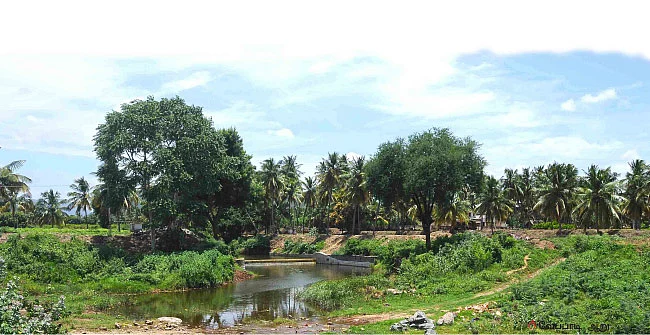 ஏரியில் தண்ணீர்... உயர்ந்தது நிலத்தடி நீர்மட்டம்!