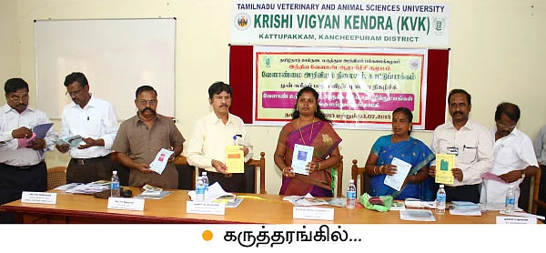 80% மானியத்தில் சோலார்!