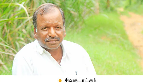 வரப்புப் பயிரிலும் வளமான வருமானம்... ‘பலே பண்ருட்டி பலா!