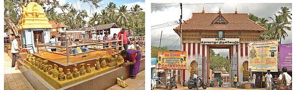நல்லன எல்லாம் அருளும் ஸ்ரீநாகராஜர்!