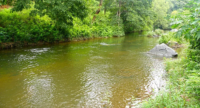 சிறுவாணி குறுக்கே அணை... அச்சத்தில் விவசாயிகள்!