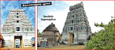 ஆரோக்கியம் அருளும் ஆலய விருட்சங்கள்!