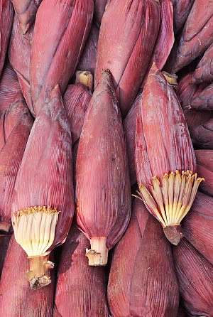இயற்கை டாக்டர்