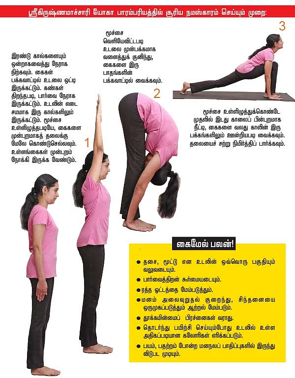 ஞாயிறைப் போற்றுவோம்!