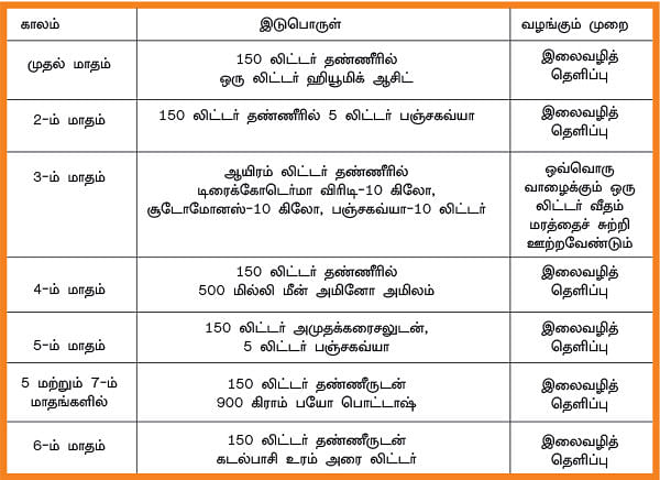 ஒரு ஏக்கர்... ரூ 2,70,000 வருமானம்... நட்டமில்லா விவசாயத்துக்கு கைகொடுக்கும் நாடன் வாழை!