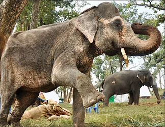 துளித் துளியாய்...