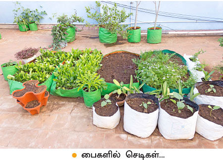 வீட்டுக்குள் விவசாயம் - 5