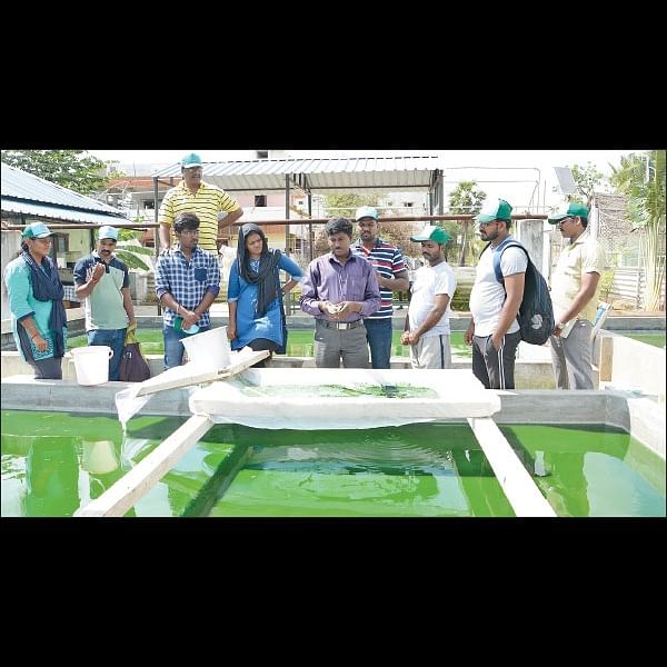 ஒரு நாள் விவசாயி! பருவம் 2 - பண்ணையை நோக்கி பயனுள்ள பயணம்
