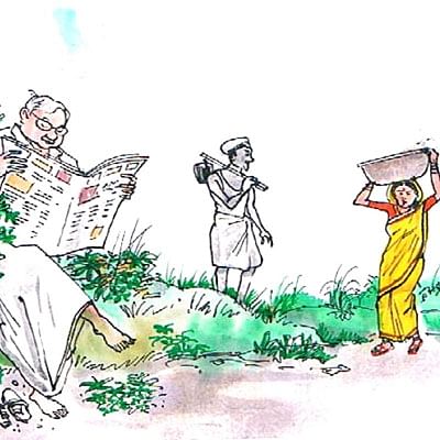மரத்தடி மாநாடு: காபி செடிகள்... விறகாகும் அவலம்!