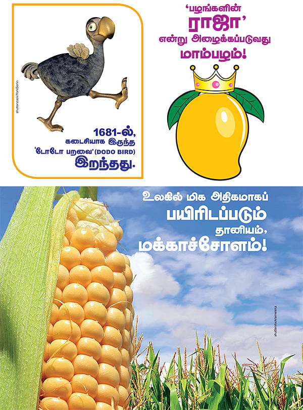 சூப்பர் 6