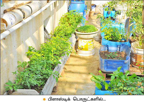 வீட்டுக்குள் விவசாயம் - 2