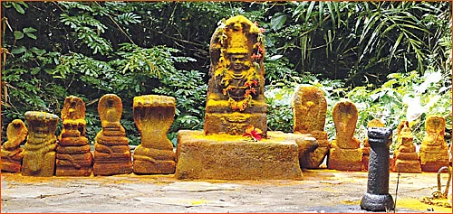 கேள்வி - பதில்